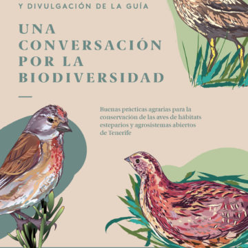 El Cabildo de Tenerife presenta una guía para la conservación de aves esteparias