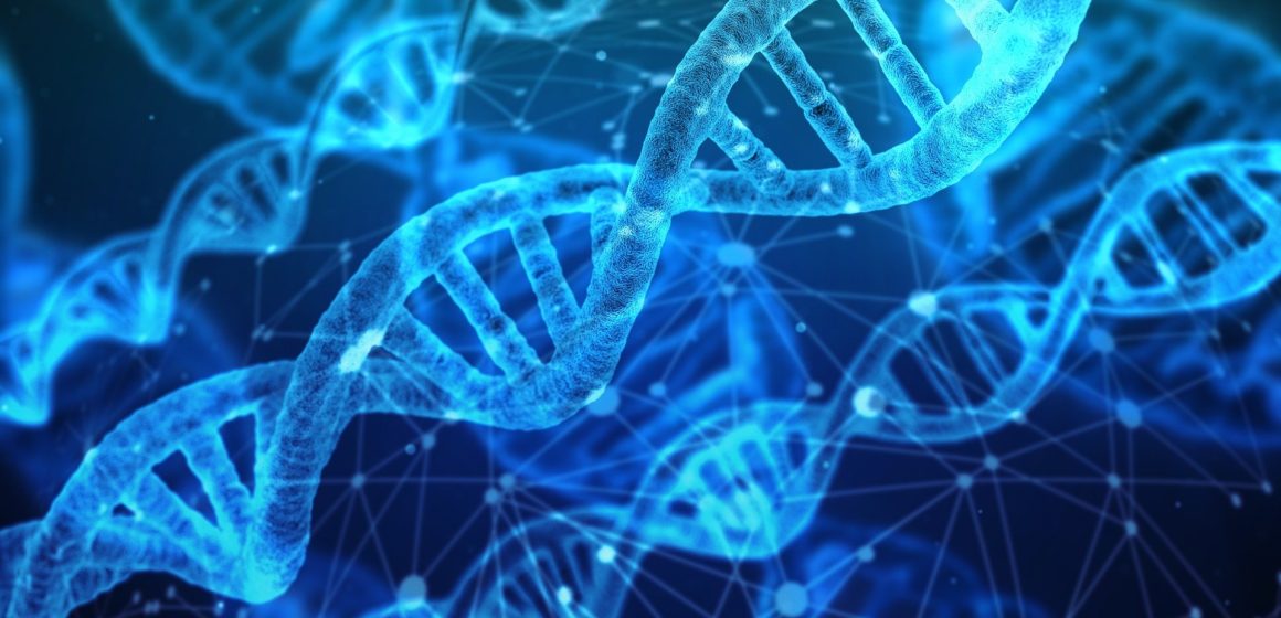 Museos de Tenerife organiza unas jornadas para descubrir los secretos del ADN