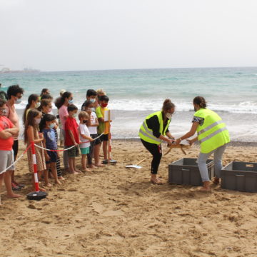 El Cabildo presenta ‘Conocer y Proteger’, un programa de concienciación ambiental que recupera la actividad con escolares